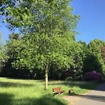 Landesmusikakademie Hessen Ez Bed & Breakfast