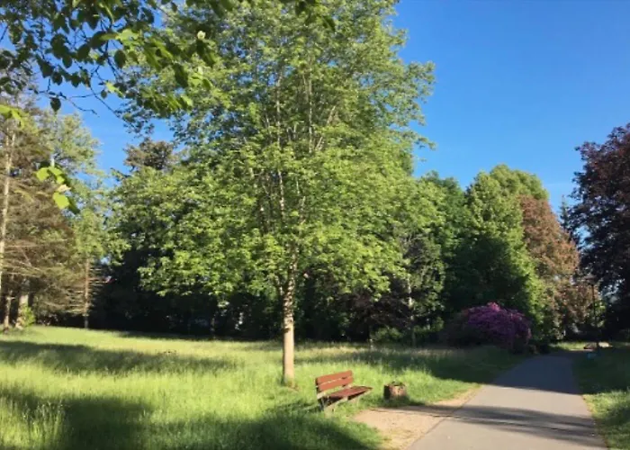 Landesmusikakademie Hessen Ez 3* Schlitz